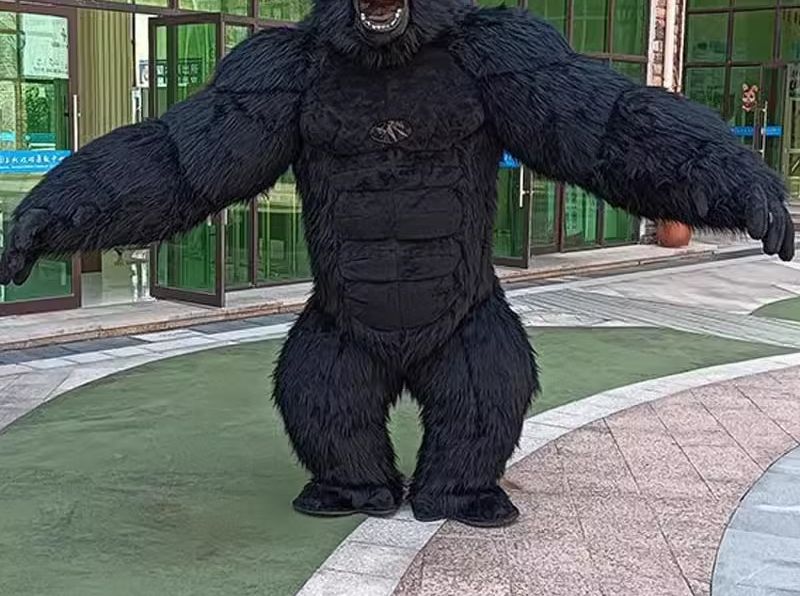 الحياة الحقيقية نفخ الغوريلا ز - مراجعة Anime Cosplay Real Life وسعره